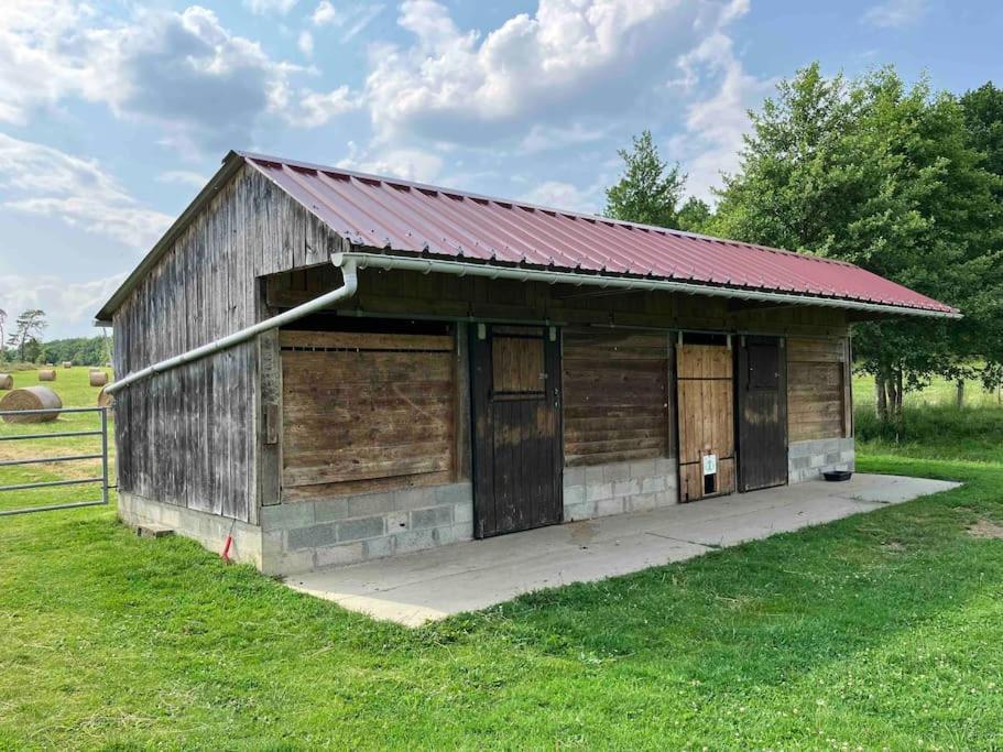 Gite Le Long Bois Campagne Charme 6 Pers Nécy Exteriör bild